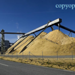 کارخانه ساخت کاغذ